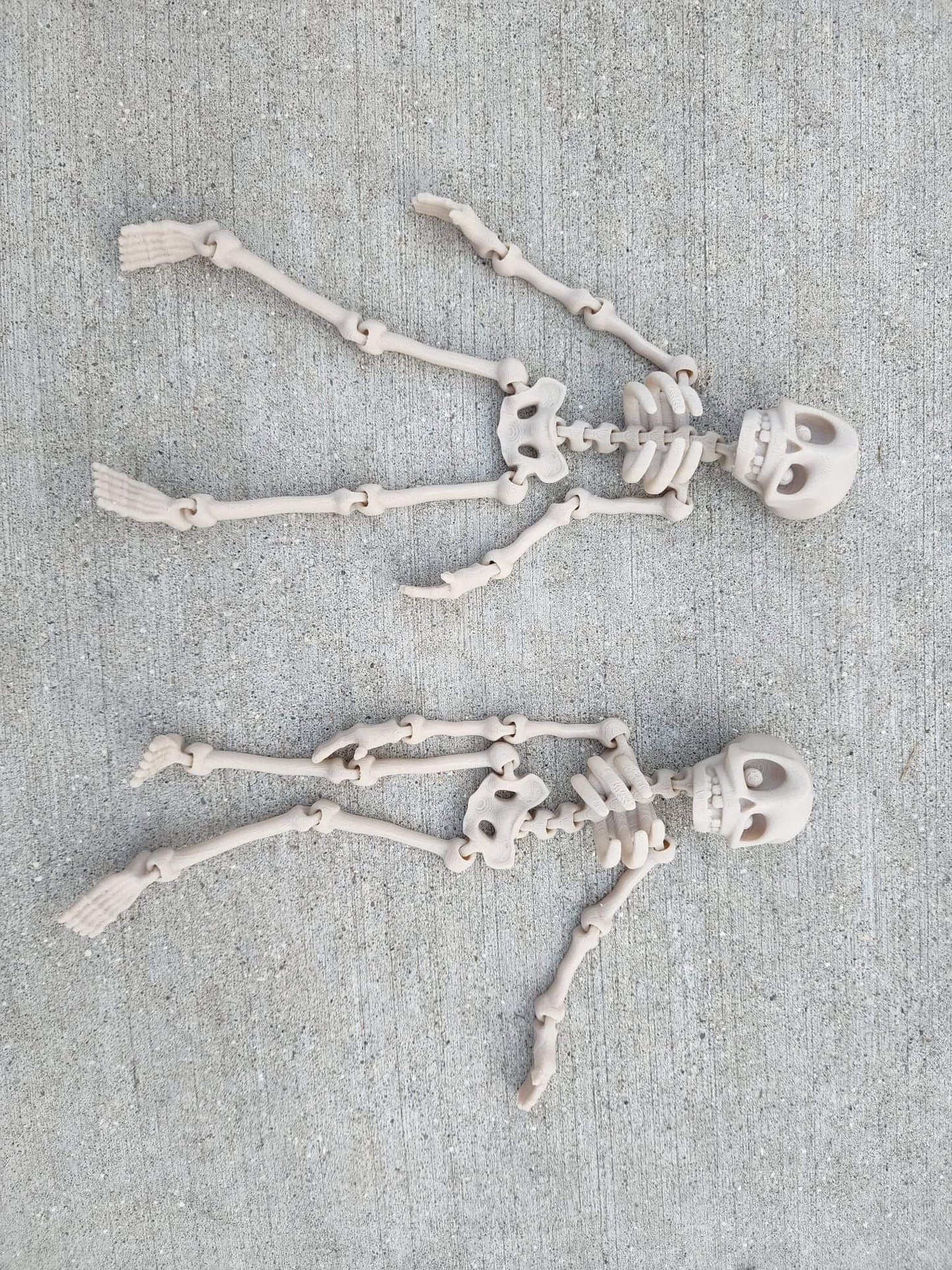 Articulated Hanging Skeleton – Adorable Fidget Toy – Custom Sizes & Colors!