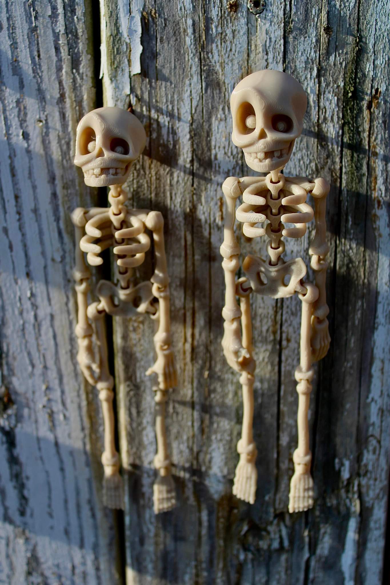 Articulated Hanging Skeleton – Adorable Fidget Toy – Custom Sizes & Colors!